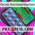Grüne Hornissenlaschen new03